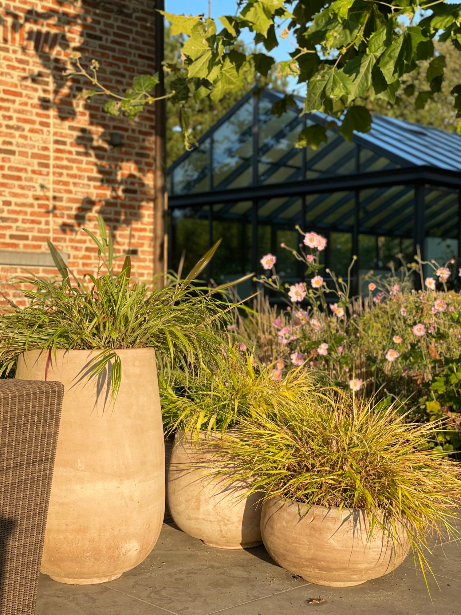 Terracotta potten met siergrassen en serres