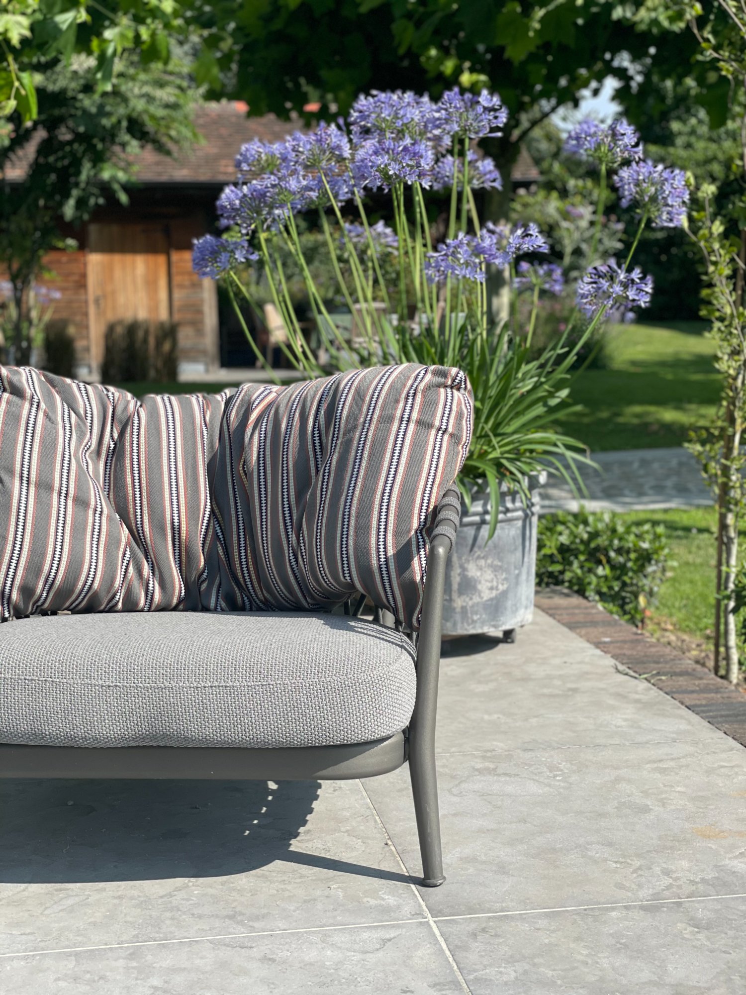 Tuinlounge met Agapanthus